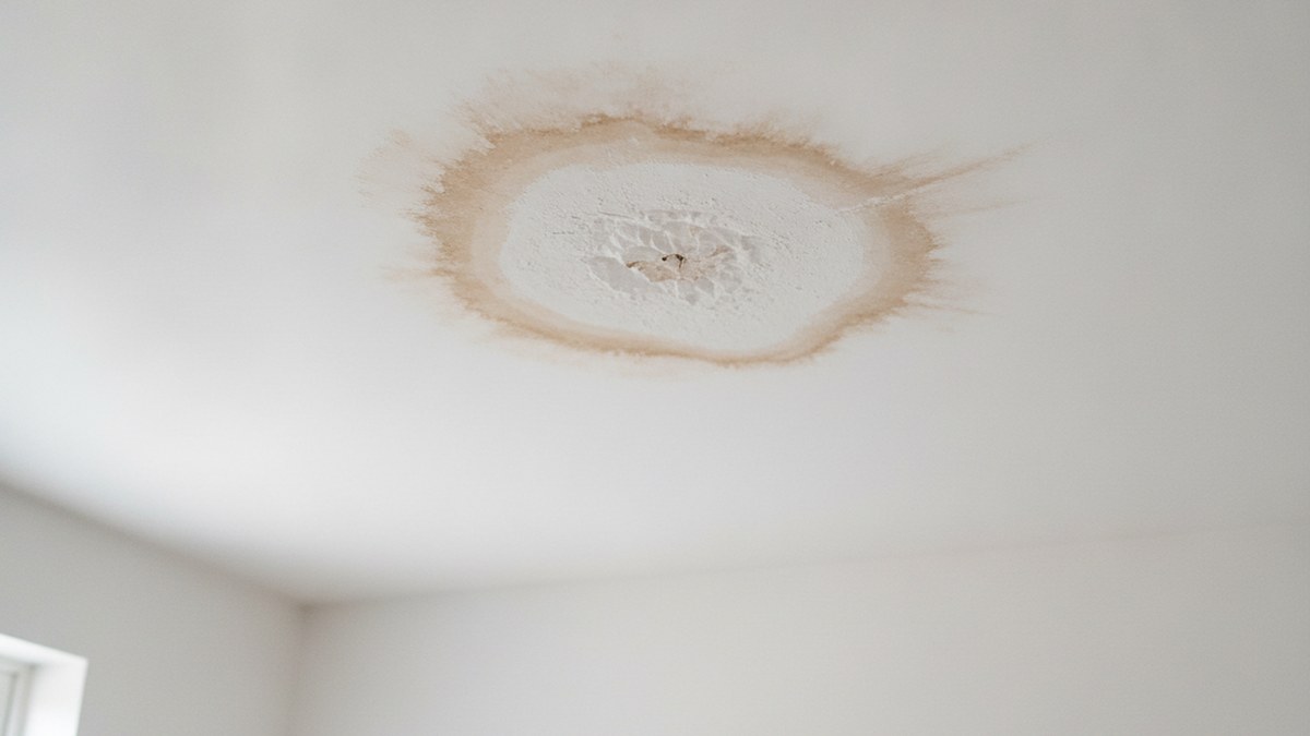 Water stain spreading across an interior ceiling below a failed flat roof detail